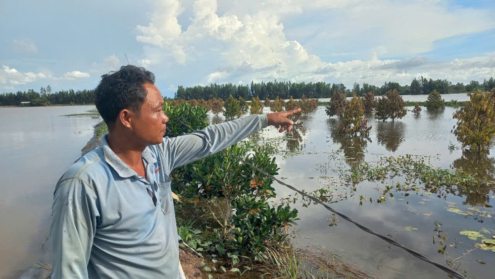 Tây Ninh: Gần 830ha Lúa Và Cây Ăn Trái Bị Thiệt Hại Do Lũ
