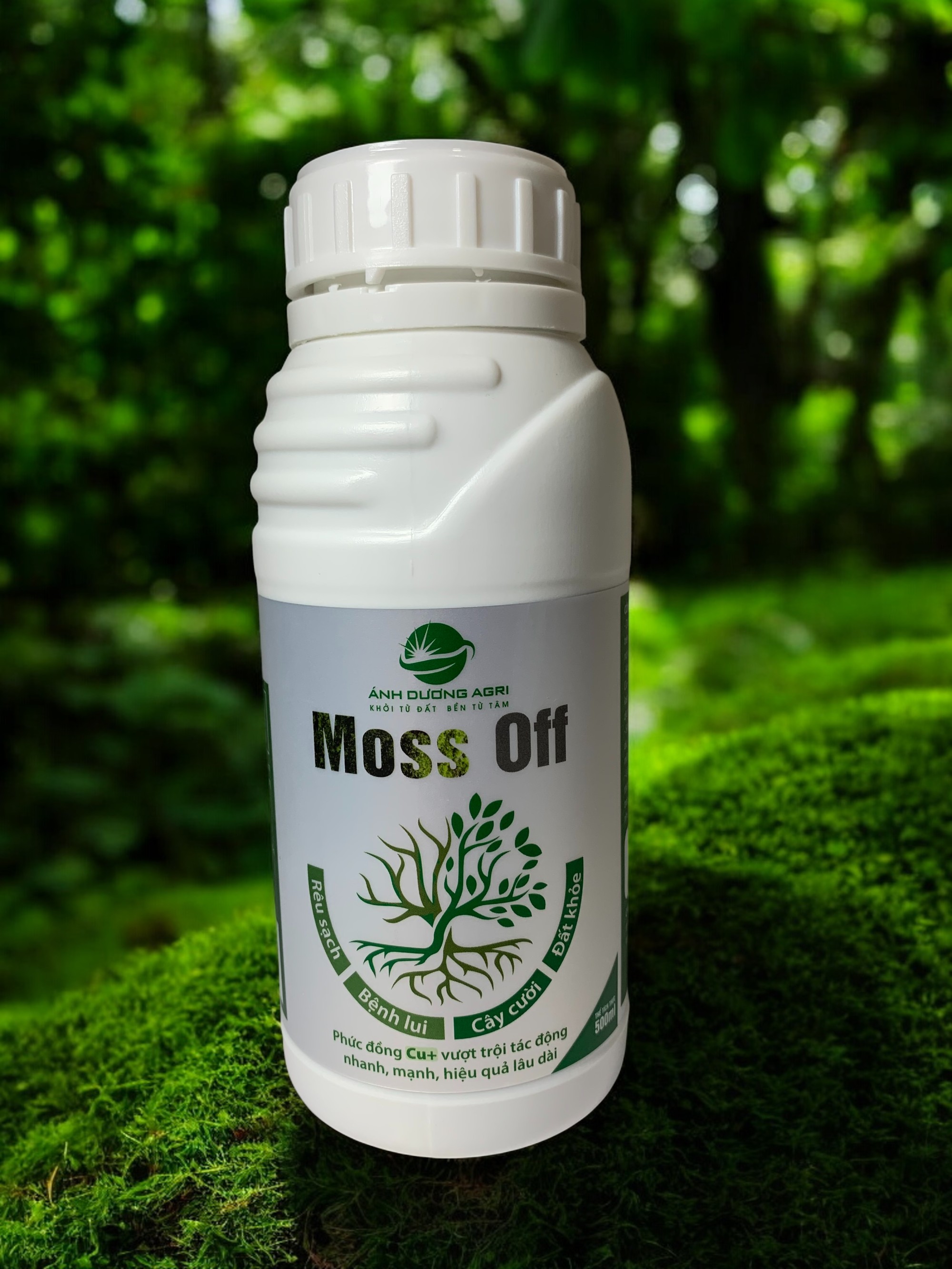 Moss Off